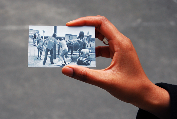 Irma Firma business card